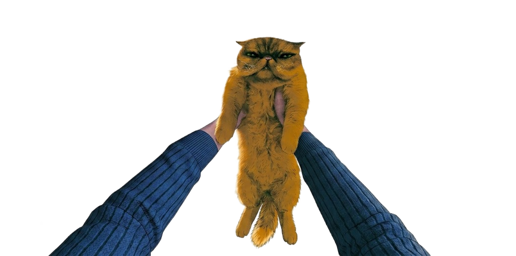 Portable Cat held out in front